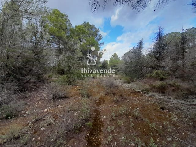 Tomt till salu i Santa Inés / Santa Agnès de Corona, Sant Antoni de Portmany - 200 000 € (Ref: 9788760)