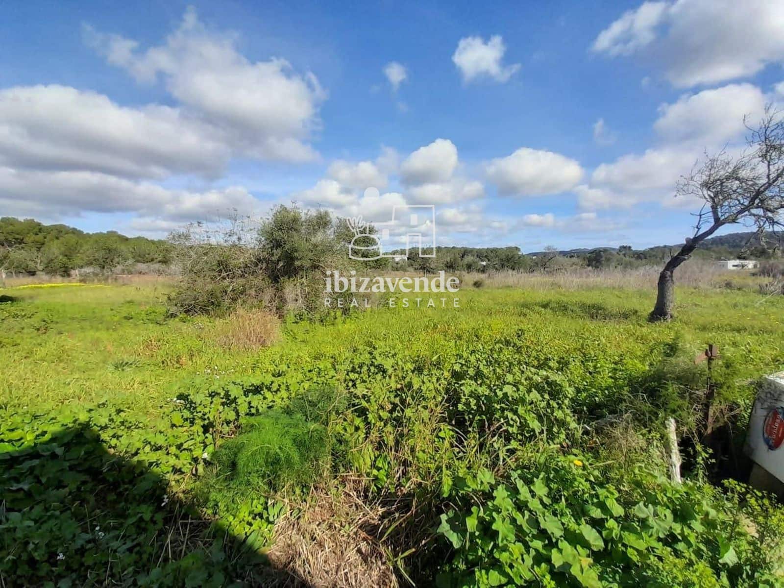 Building Plot for sale in Santa Ines / Santa Agnes de Corona - € 200,000 (Ref: 9788760)