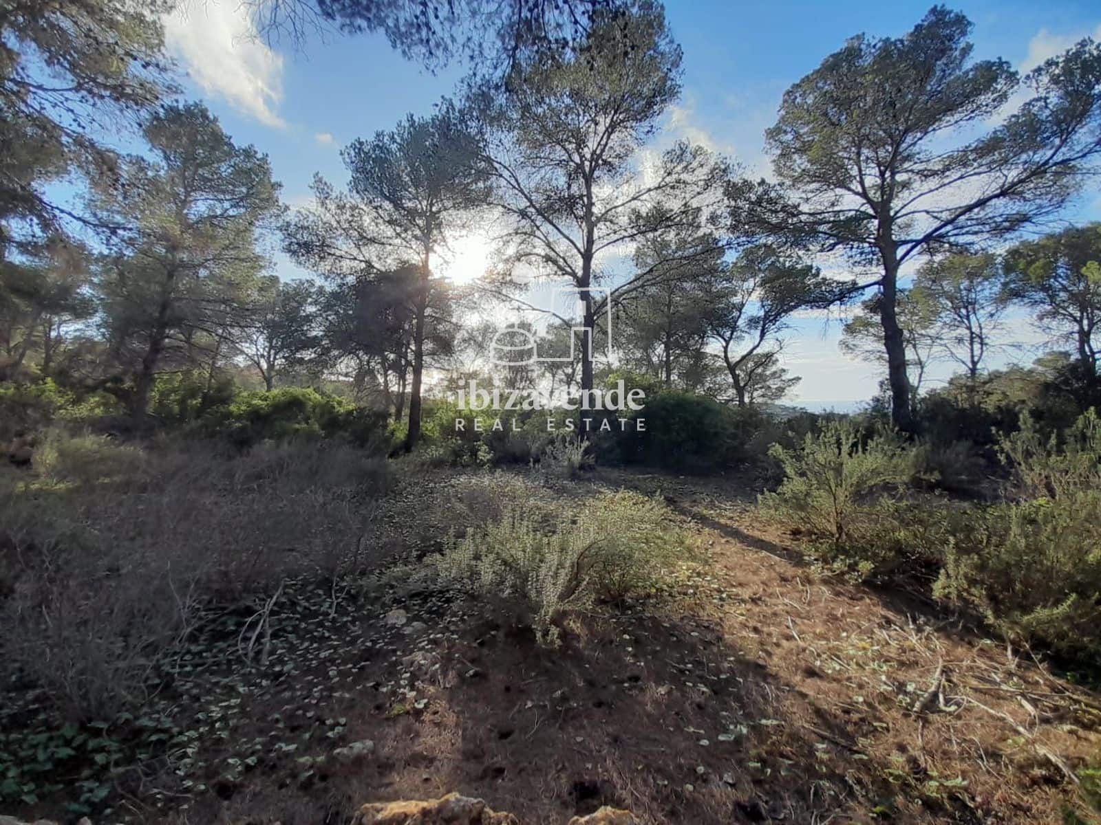 Building Plot for sale in Santa Ines / Santa Agnes de Corona - € 200,000 (Ref: 9788760)