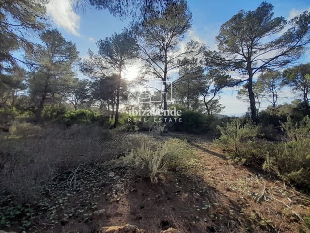 Tomt till salu i Santa Inés / Santa Agnès de Corona, Sant Antoni de Portmany - 200 000 € (Ref: 9788760)