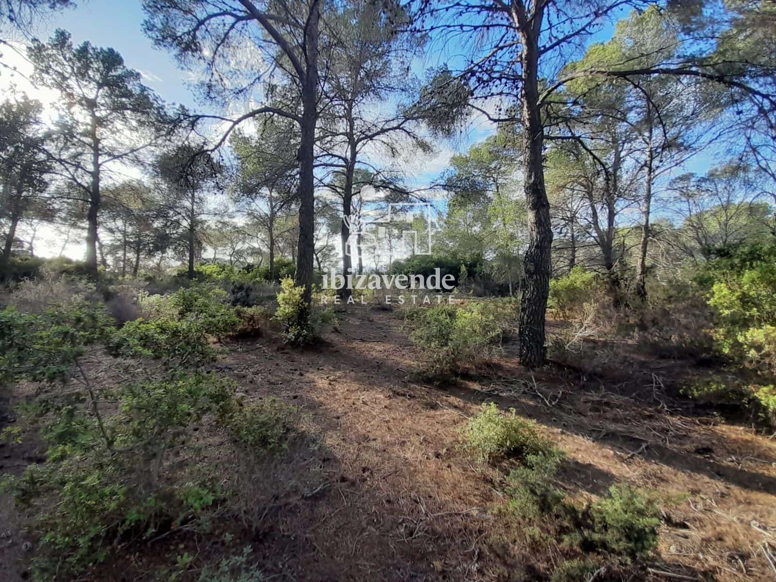 Building Plot for sale in Santa Ines / Santa Agnes de Corona - € 200,000 (Ref: 9788760)