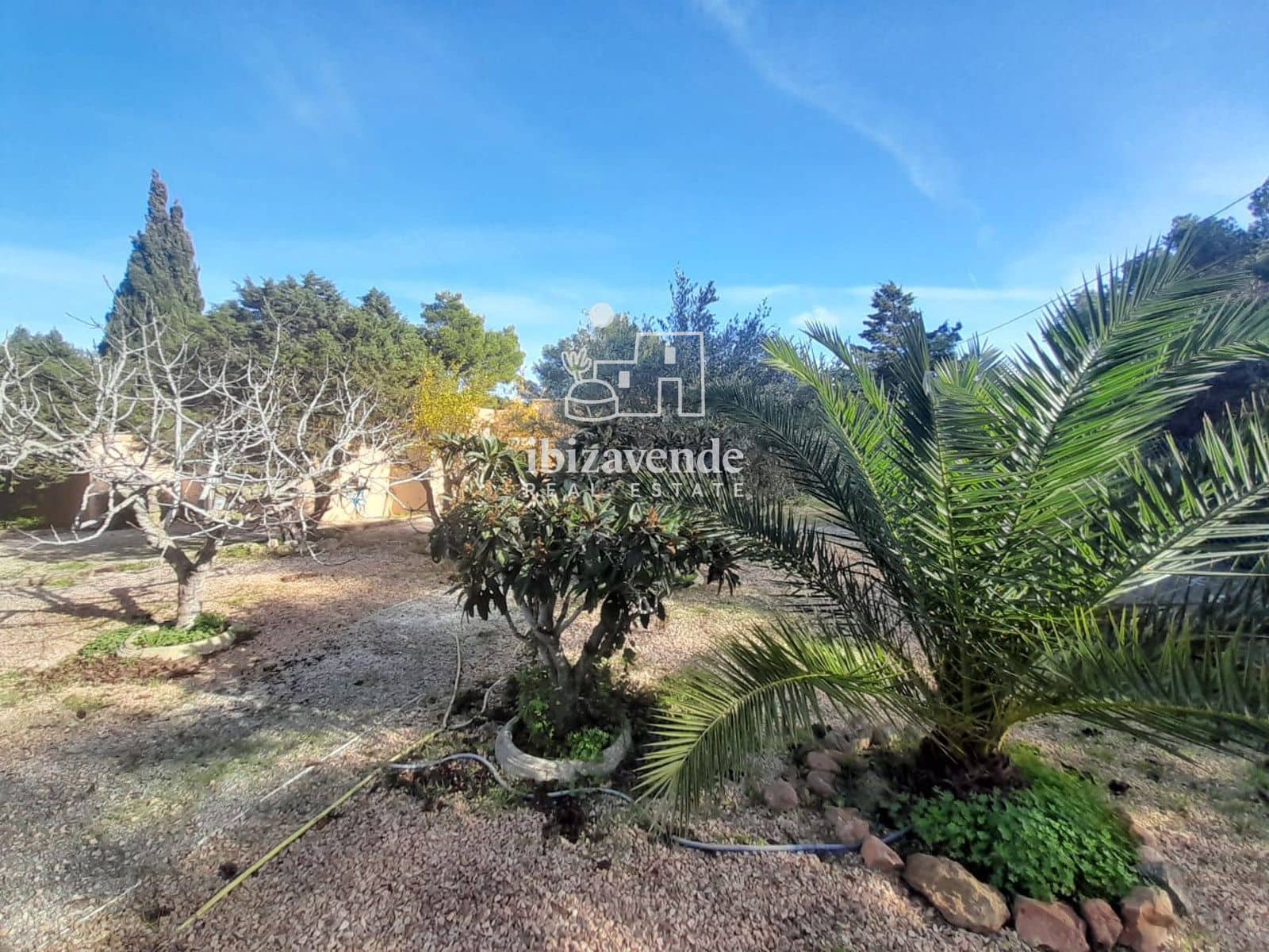 4 soverom Villa til leie i Cala Tarida med svømmebasseng garasje - € 5 000 (Ref: 9793758)