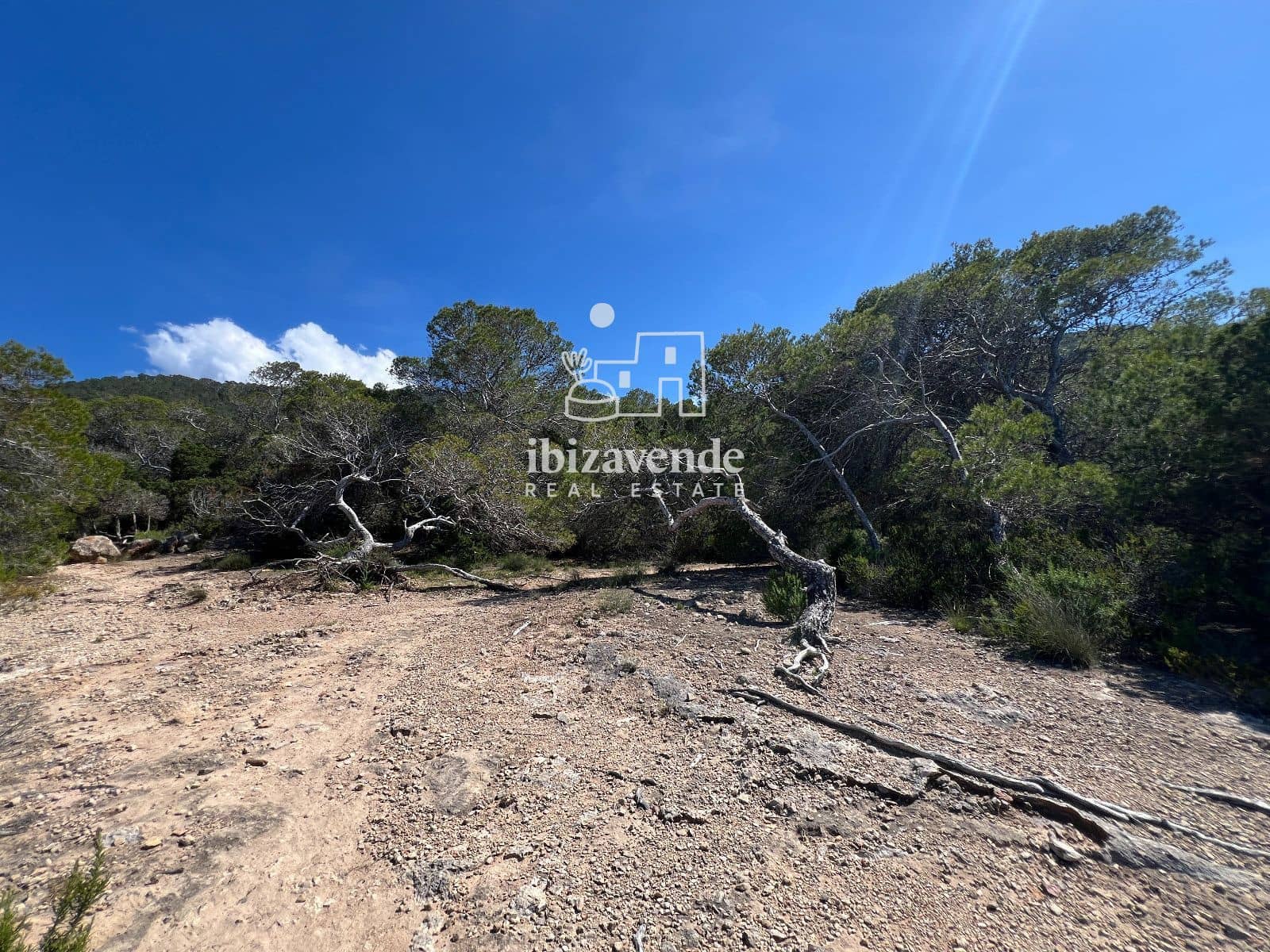 Bouwgrond te koop in Sant Joan de Labritja - € 50.000 (Ref: 9800693)