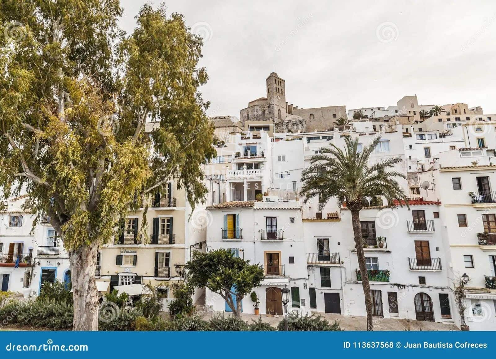 2 sypialnia Mieszkanie do wynajęcia w Miasto Ibiza / Eivissa - 3 400 € (Ref: 9819161)