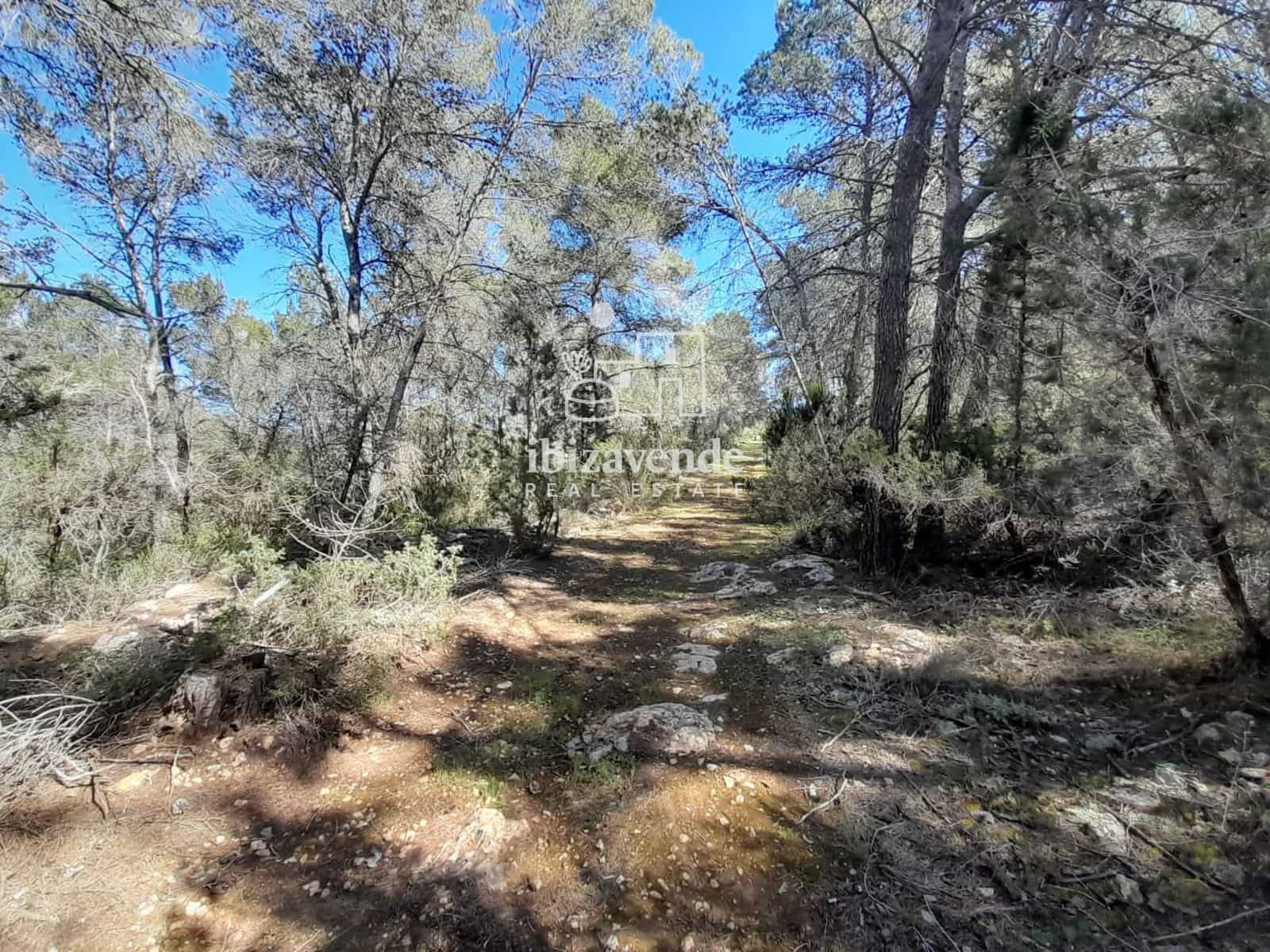Byggetomt til salgs i Sant Antoni de Portmany - € 250 000 (Ref: 9841713)