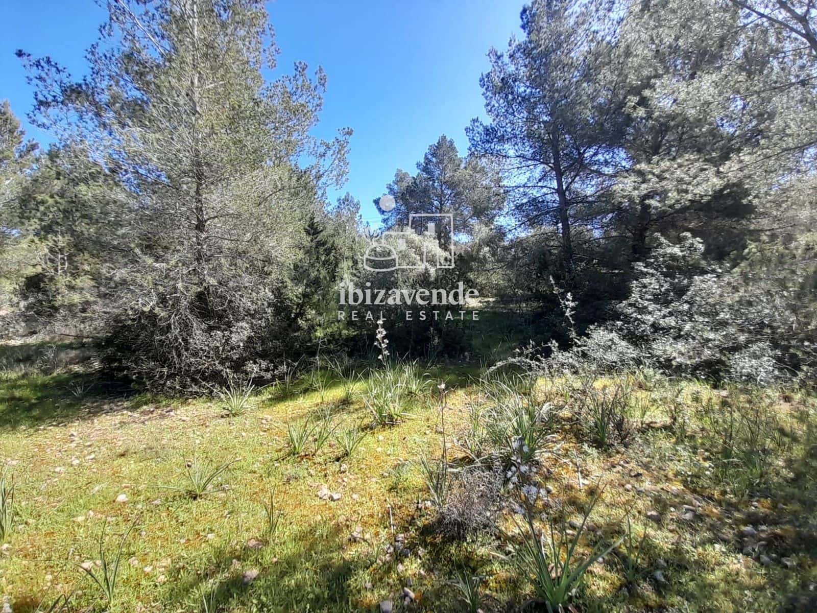 Byggetomt til salgs i Sant Antoni de Portmany - € 250 000 (Ref: 9841713)