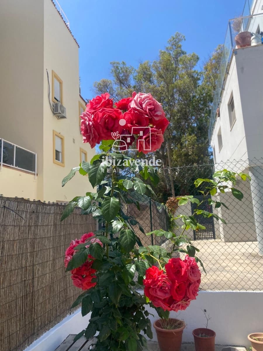 2 Zimmer Wohnung zu vermieten in Ibiza / Eivissa Stadt - 2.400 € (Ref: 9889514)