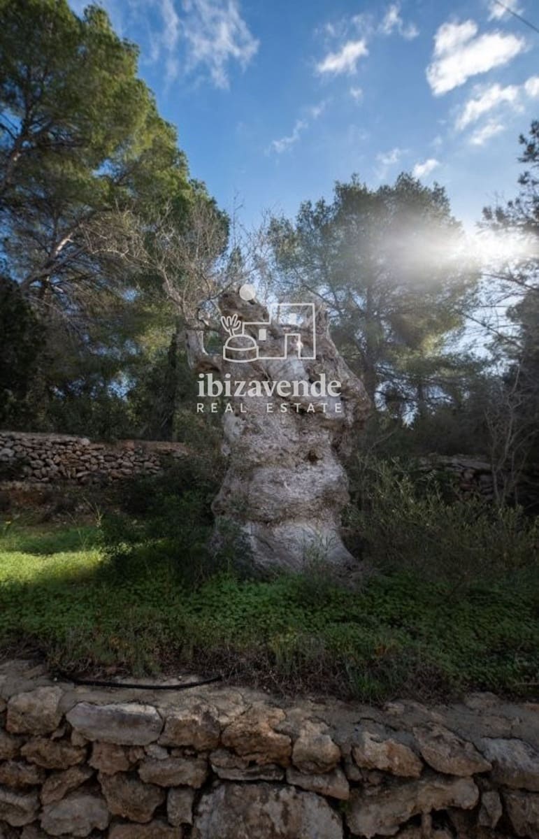 Villa te koop in Roca Llisa met zwembad garage - € 3.200.000 (Ref: 9918983)