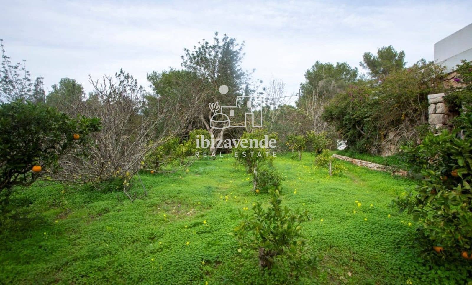 Villa te koop in Roca Llisa met zwembad garage - € 3.200.000 (Ref: 9918983)