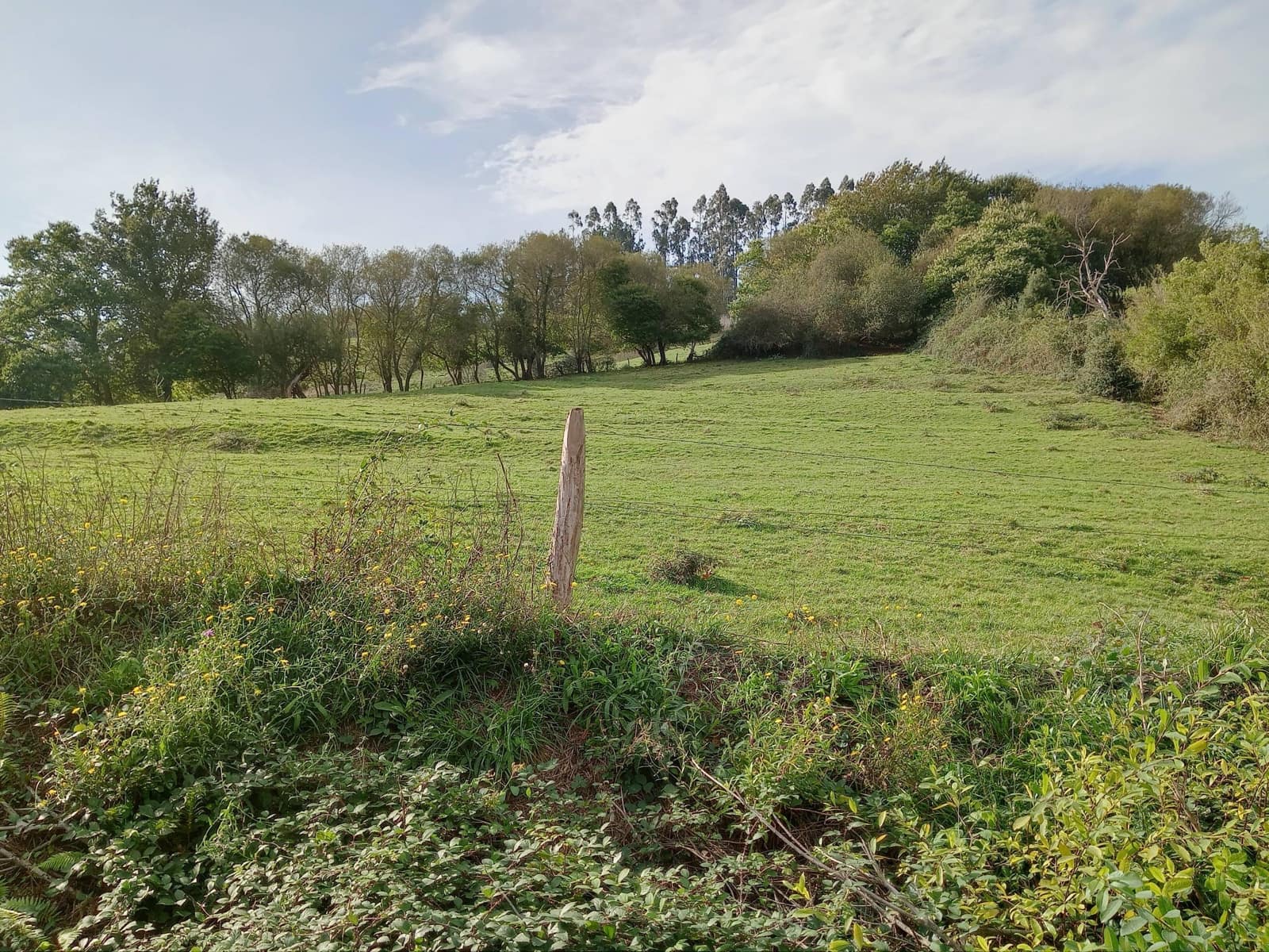 Building Plot for sale in Puente Viesgo € 46,000 (Ref 7944579)