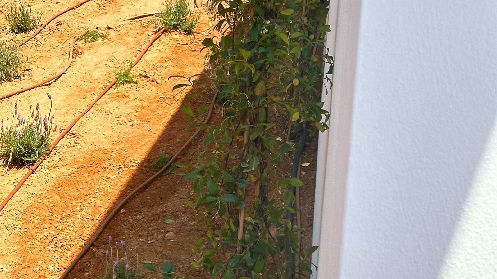 5 quarto Moradia para venda em Sant Antoni de Portmany com piscina - 4 900 000 € (Ref: 8217923)