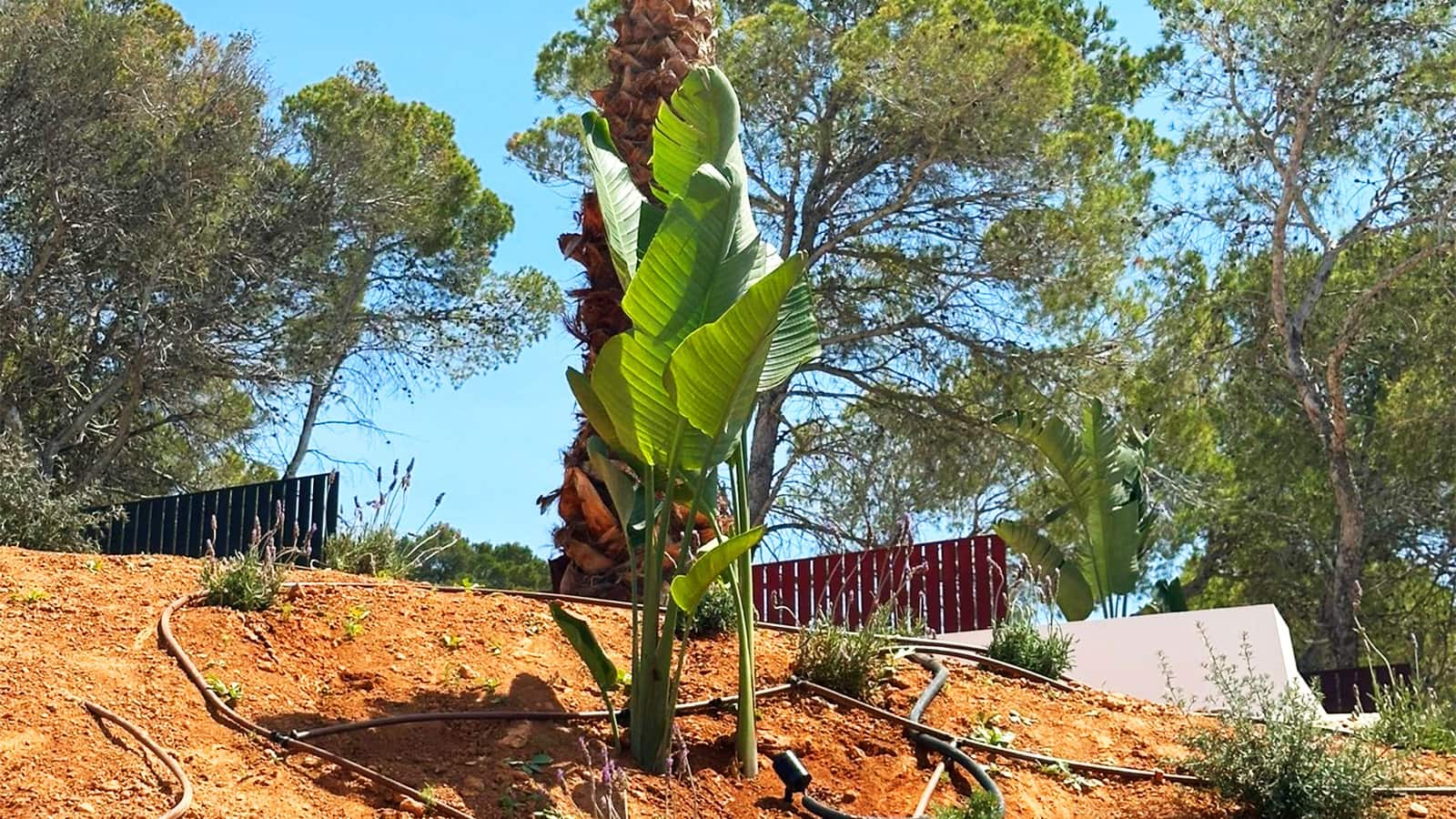 5 quarto Moradia para venda em Sant Antoni de Portmany com piscina - 4 900 000 € (Ref: 8217923)