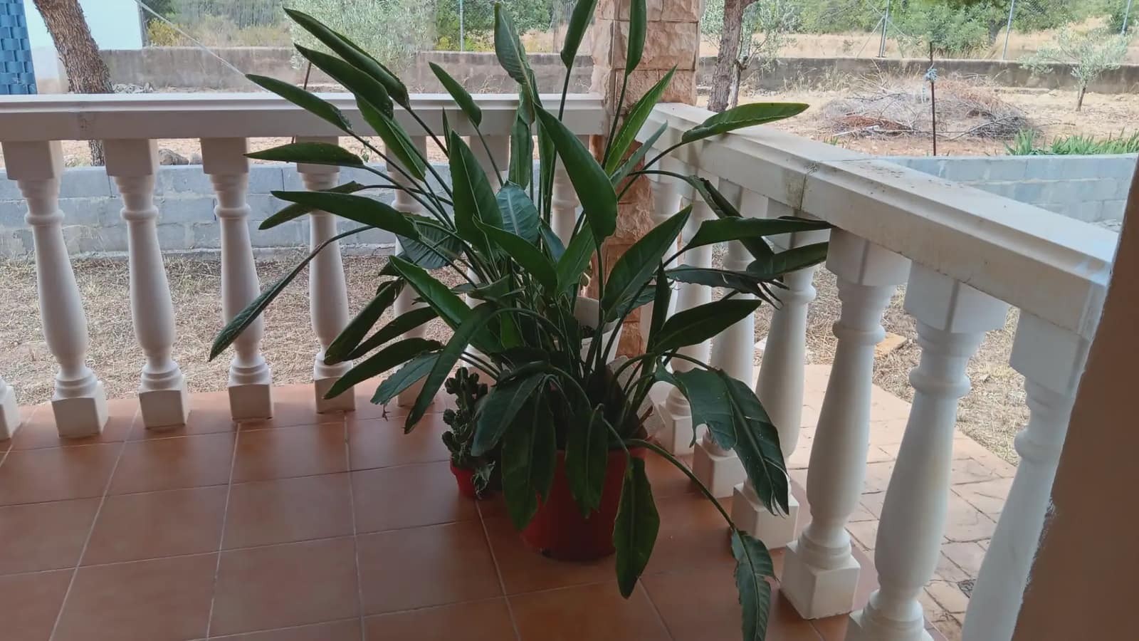 3 soverom Finca/Herregård til salgs i Cheste med svømmebasseng garasje - € 230 000 (Ref: 10165314)