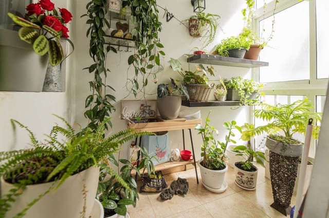 2 soveværelse Lejlighed til salg i Arrecife - € 190.000 (Ref: 9085996)