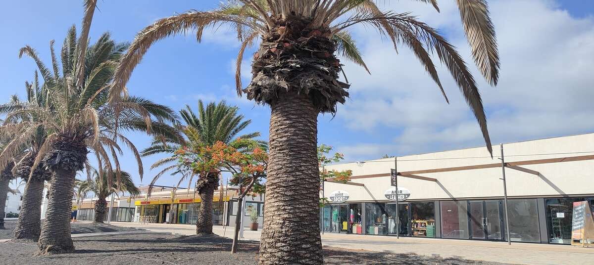 Comercial para arrendar em Costa Teguise com garagem - 1 736 € (Ref: 9086000)