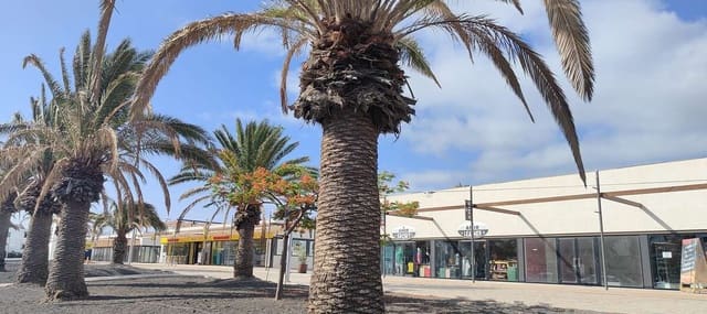 Commercial for rent in Costa Teguise, Teguise with garage - € 1,250 (Ref: 9086006)