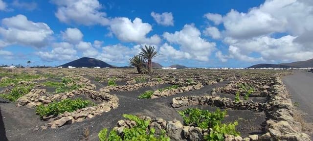 4 makuuhuone Huvila myytävänä paikassa Conil, Tías mukana uima-altaan 
autotalli - 685 000 € (Ref: 9242587)