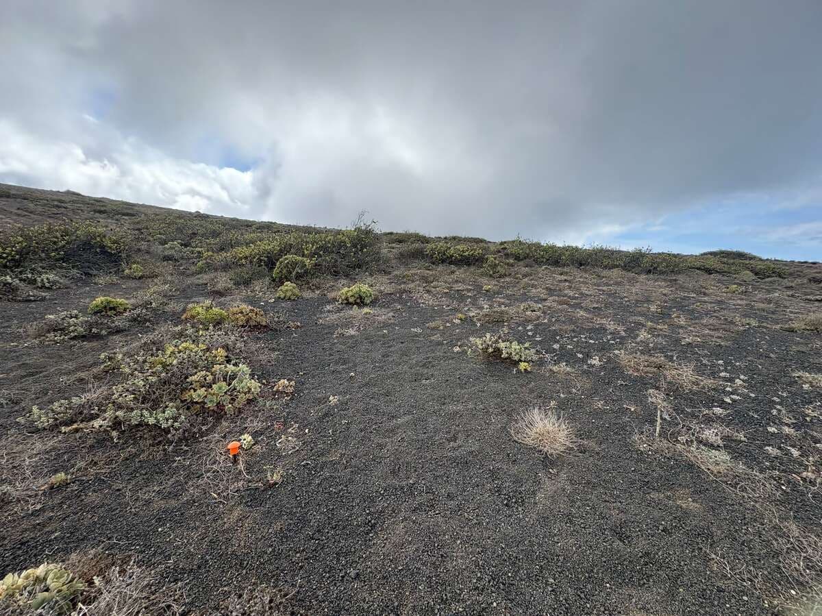 Terreno Non Edificato in vendita in Haria - 40.000 € (Rif: 9294021)