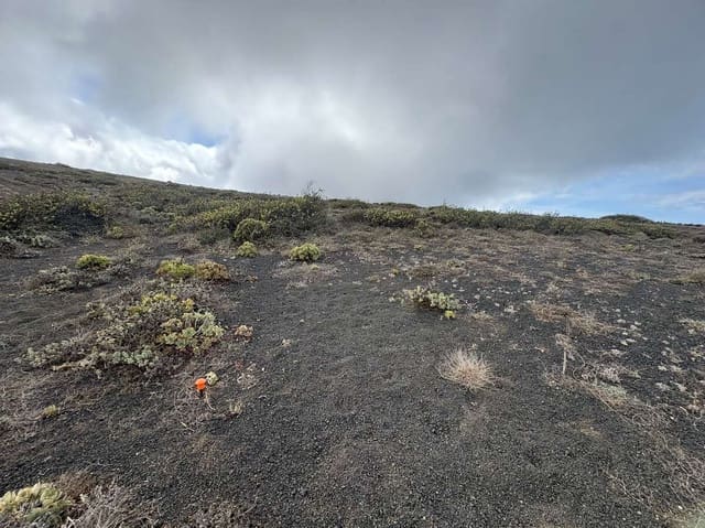 Undeveloped Land for sale in Haría - € 40,000 (Ref: 9294021)