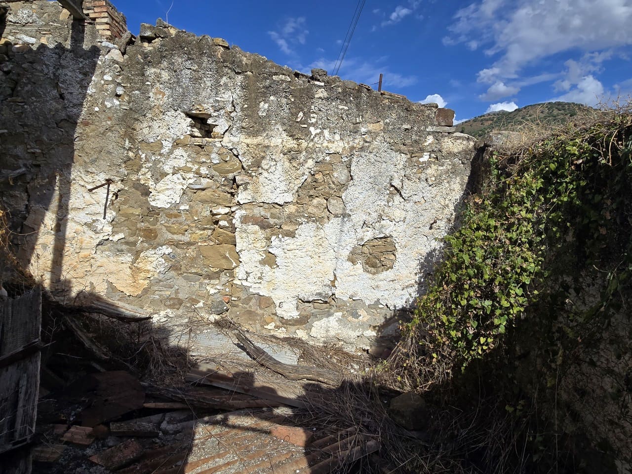 Mark till salu i Puente de Don Manuel - 60 000 € (Ref: 10160535)