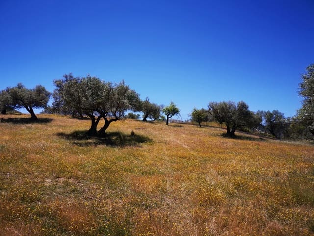 Grunde uden byggetilladelser til salg i Periana - € 525.000 (Ref: 5604754)