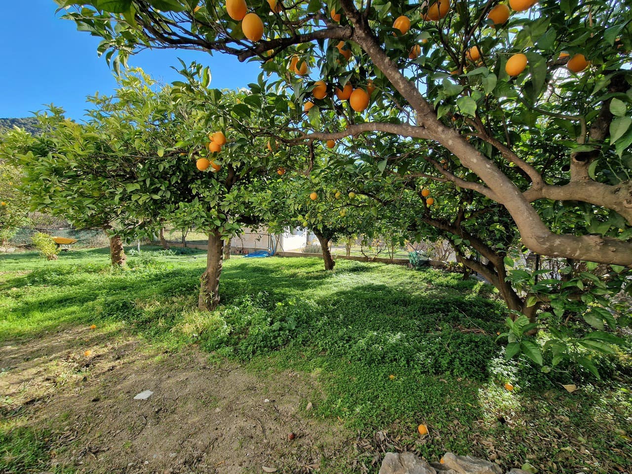 3 camera da letto Villa in vendita in Alcaucin - 160.000 € (Rif: 7342723)