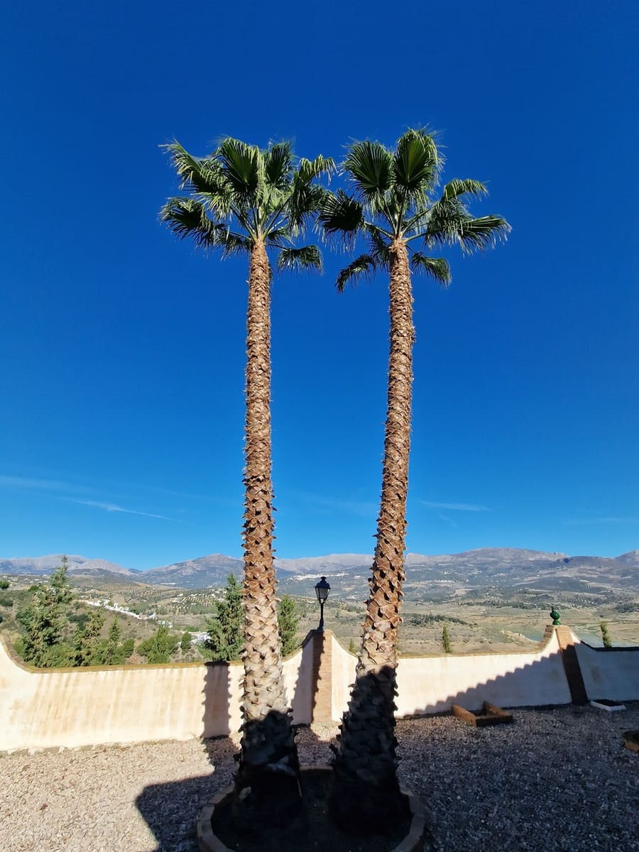 6 soveværelse Villa til salg i Vinuela med swimmingpool garage - € 835.000 (Ref: 7911899)