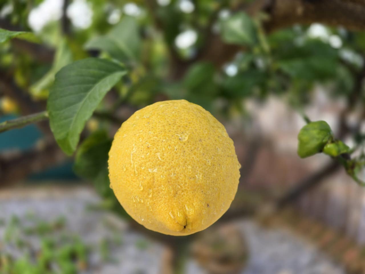 4 slaapkamer Villa te koop in Alcaucin met zwembad garage - € 335.000 (Ref: 8755692)