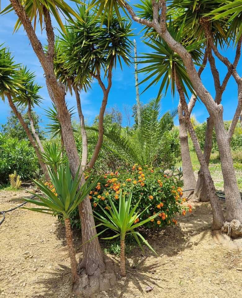 3 sypialnia Willa na sprzedaż w Alcaucin z basenem garażem - 374 950 € (Ref: 8868483)