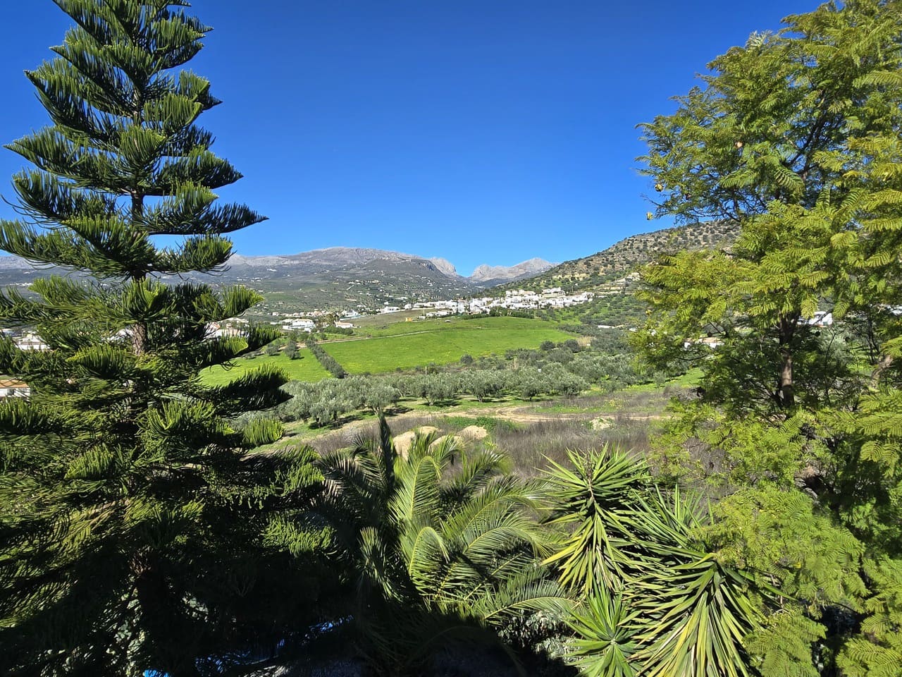 3 makuuhuone Huvila myytävänä paikassa Alcaucin mukana uima-altaan 
autotalli - 375 000 € (Ref: 9610116)