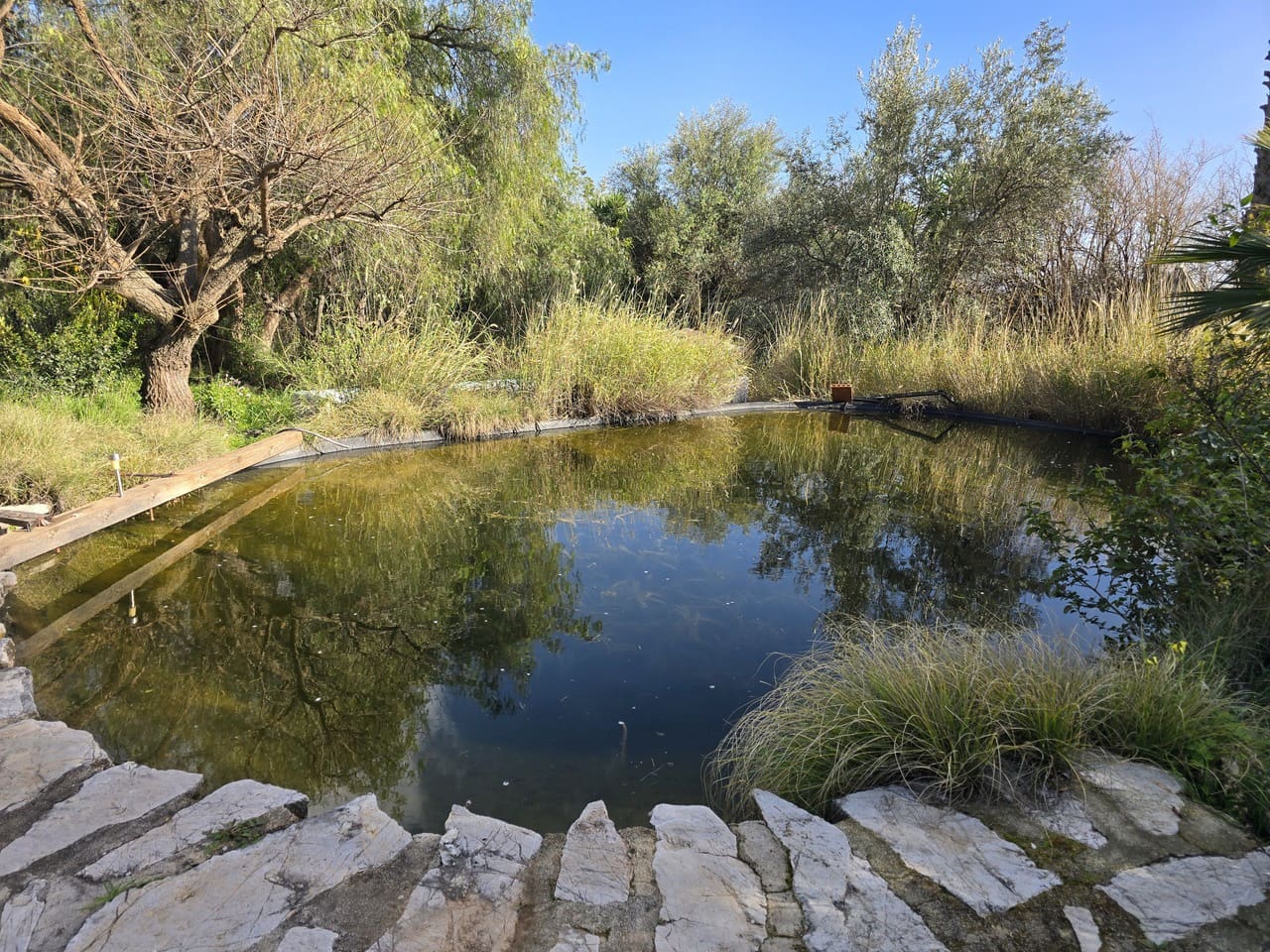 5 bedroom Villa for sale in Periana with pool garage - € 575,000 (Ref: 9699812)