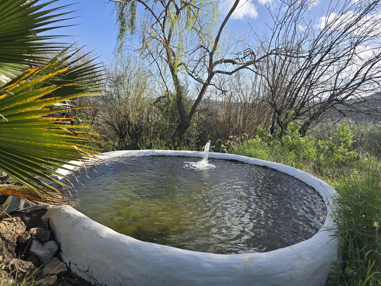 5 bedroom Villa for sale in Periana with pool garage - € 575,000 (Ref: 9699812)