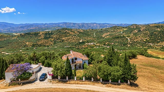 Chalet de 3 habitaciones en Periana en venta con piscina garaje - 375.000 € (Ref: 9902103)