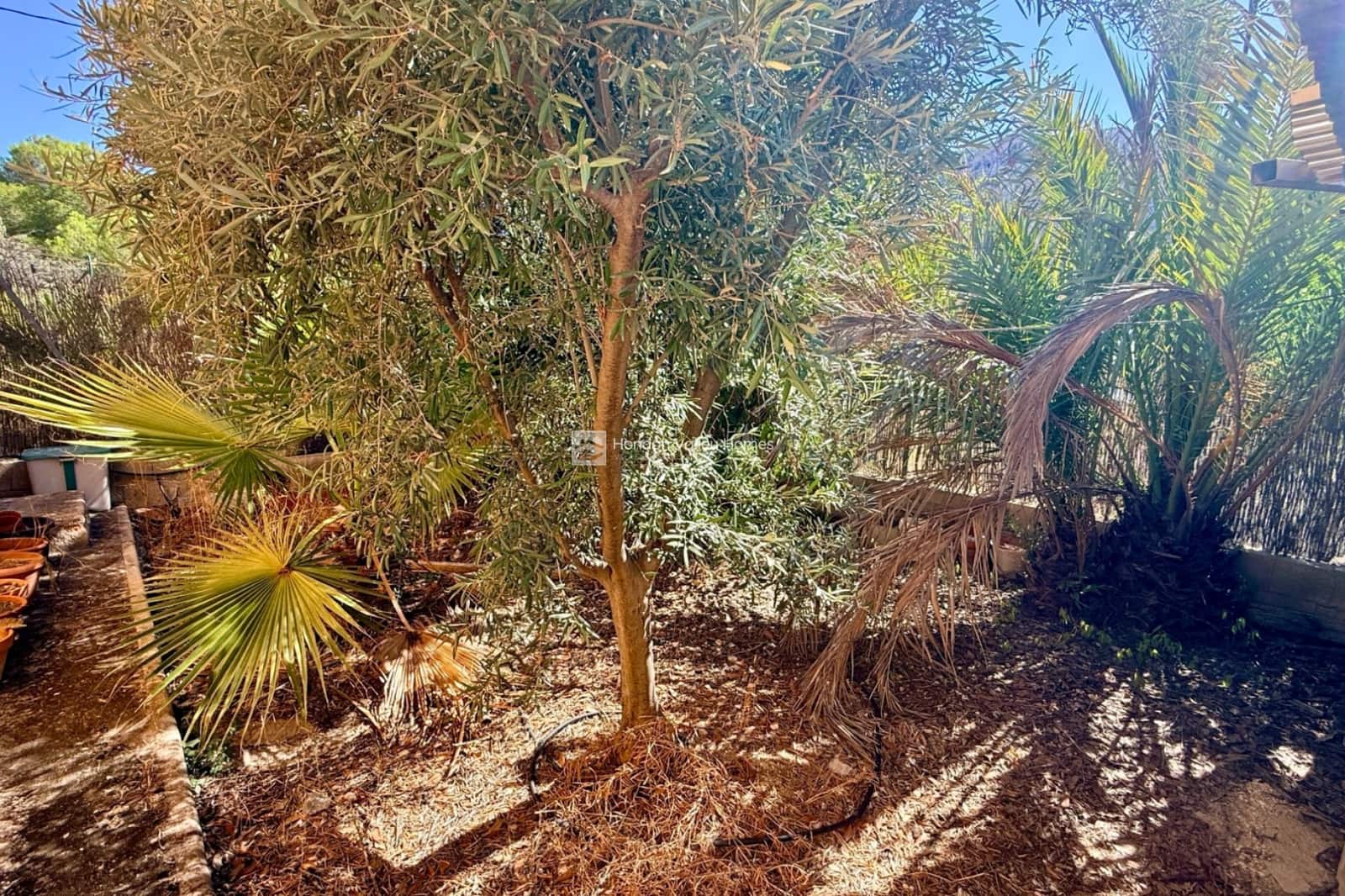 6 quarto Casa de Caverna para venda em L'Alguena / Alguenya com piscina garagem - 225 000 € (Ref: 10094178)