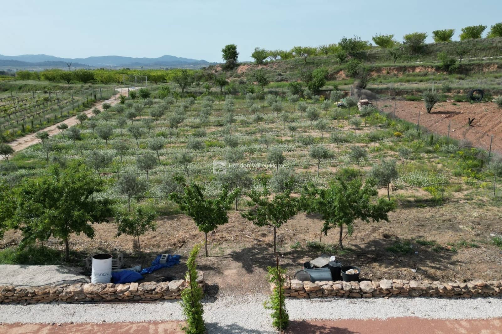 4 sypialnia Willa na sprzedaż w Pinoso z basenem garażem - 649 950 € (Ref: 9798380)