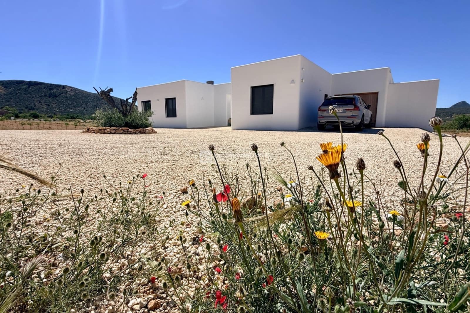 3 soveværelse Villa til salg i Barbarroja med swimmingpool garage - € 499.950 (Ref: 9828025)