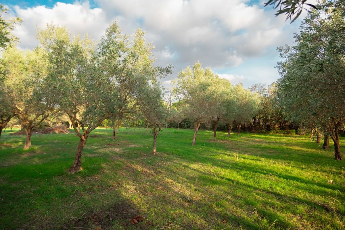 Finca/Casa Rural de 8 habitaciones en Establiments en venta con garaje - 1.399.990 € (Ref: 10163764)