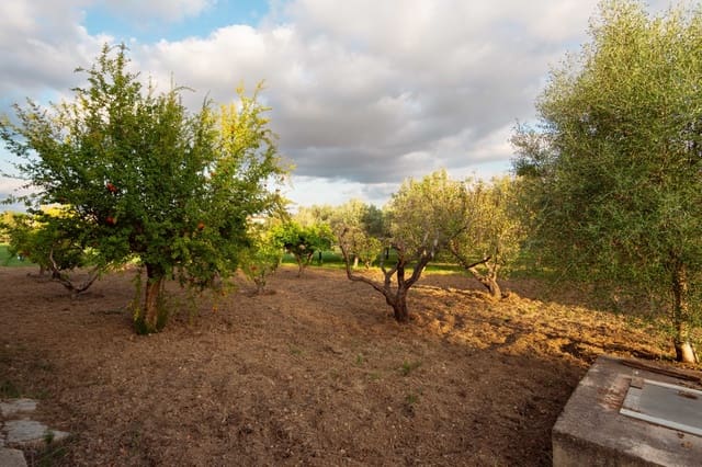 8 Zimmer Finca/Landgut zu verkaufen in Establiments, Palma de Mallorca mit Garage - 1.399.990 € (Ref: 10163764)