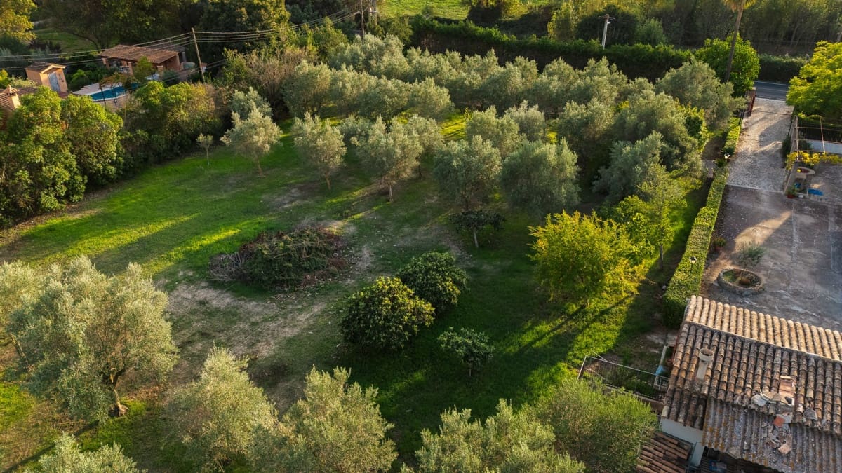 Finca/Casa Rural de 8 habitaciones en Establiments en venta con garaje - 1.399.990 € (Ref: 10163764)