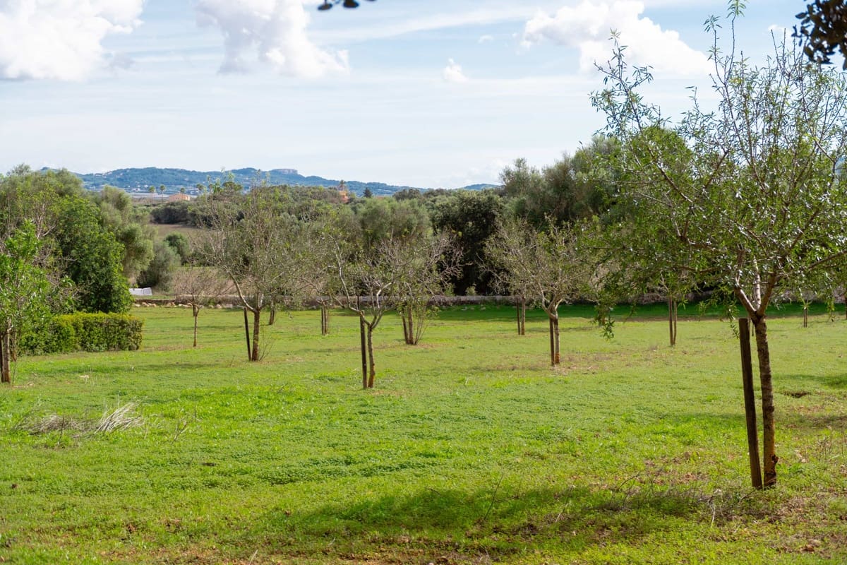 5 soveværelse Finca/Landehus til salg i Porreres med swimmingpool garage - € 4.500.000 (Ref: 10183307)