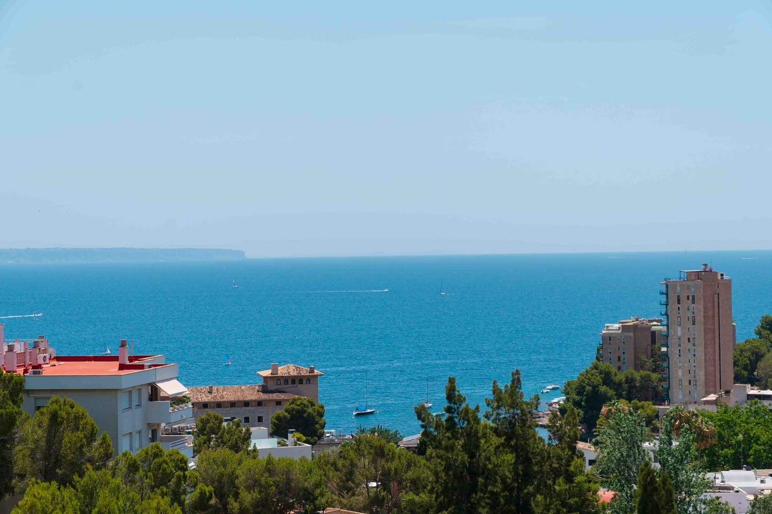 4 chambre Penthouse à vendre à Cas Catala - 1 675 000 € (Ref: 8769434)