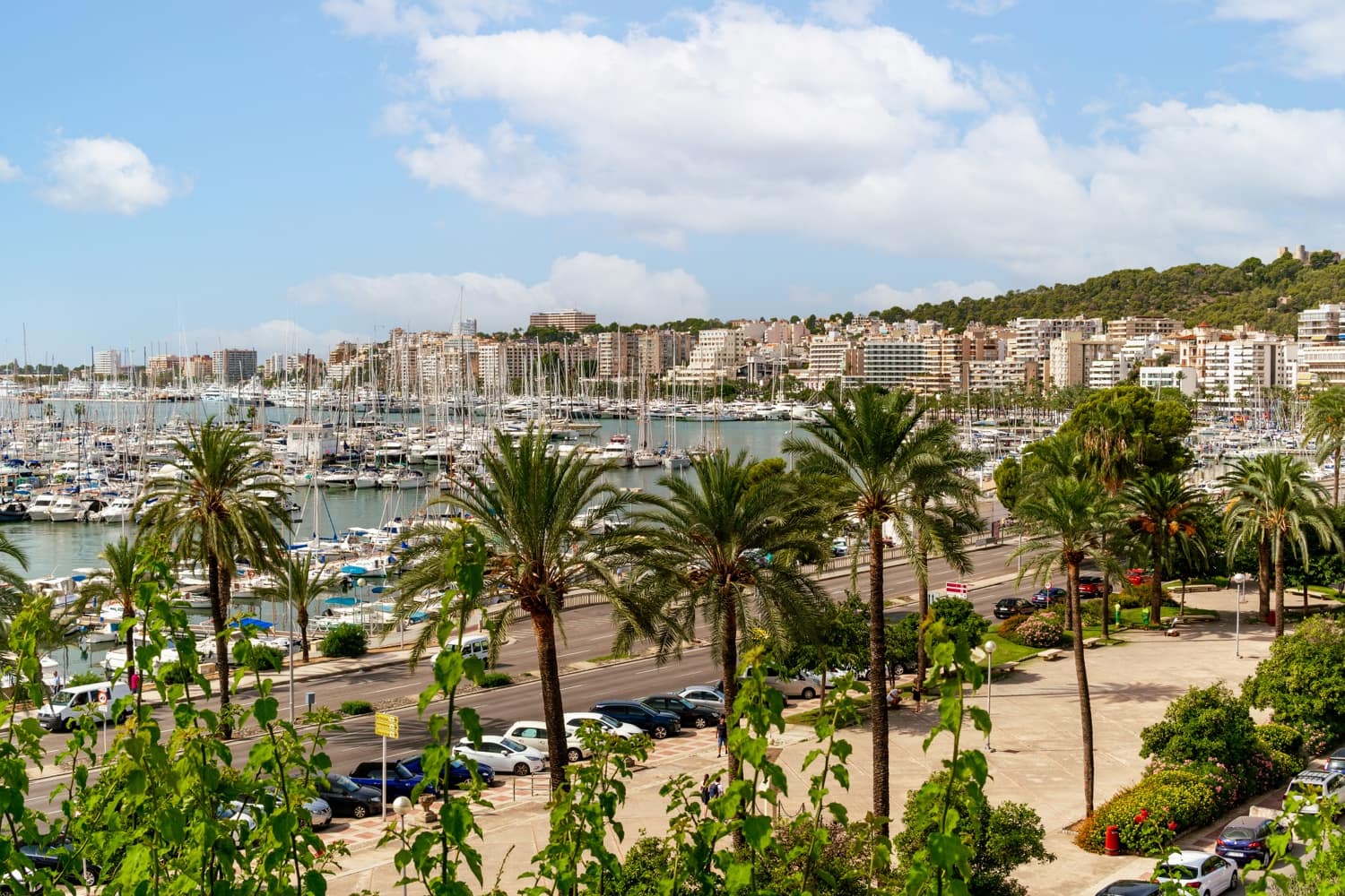 2 camera da letto Attico in vendita in Palma de Mallorca - 699.000 € (Rif: 8881016)