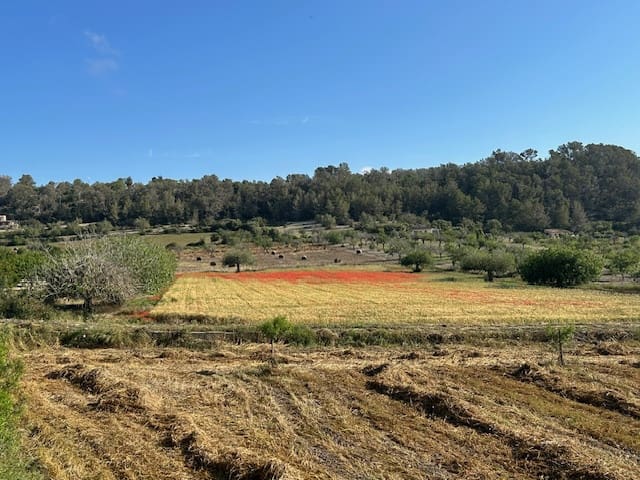 Undeveloped Land for sale in Montuiri - € 775,000 (Ref: 9823296)