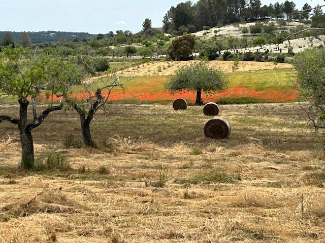 Undeveloped Land for sale in Montuiri - € 775,000 (Ref: 9823296)