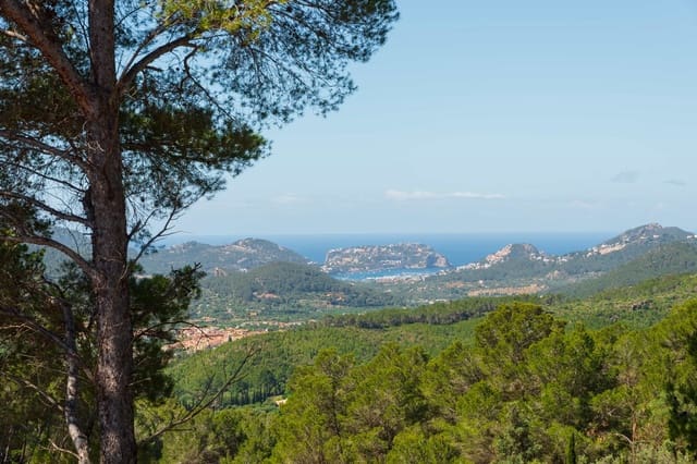 5 chambre Finca/Maison de Campagne à vendre à Andratx - 3 500 000 € (Ref: 9889320)