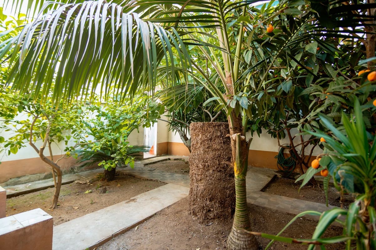 Piso de 3 habitaciones en Palma de Mallorca en venta - 595.000 € (Ref: 9891099)