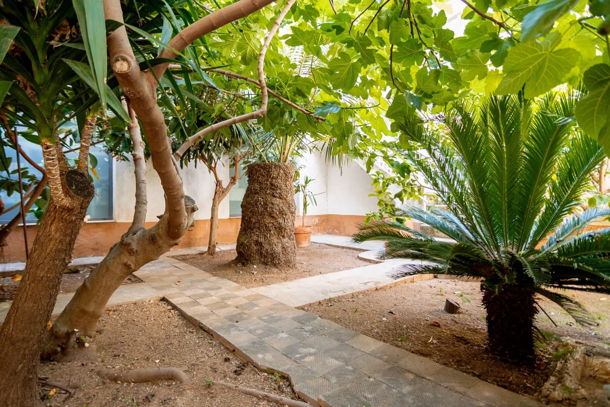 Piso de 3 habitaciones en Palma de Mallorca en venta - 595.000 € (Ref: 9891099)