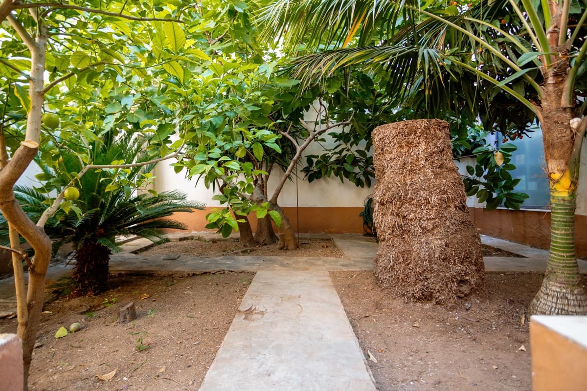 Piso de 3 habitaciones en Palma de Mallorca en venta - 595.000 € (Ref: 9891099)