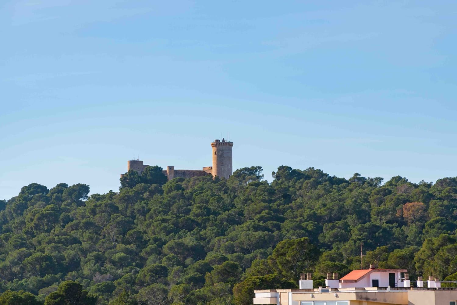 3 Zimmer Penthouse zu verkaufen in Palma de Mallorca - 4.200.000 € (Ref: 9891100)