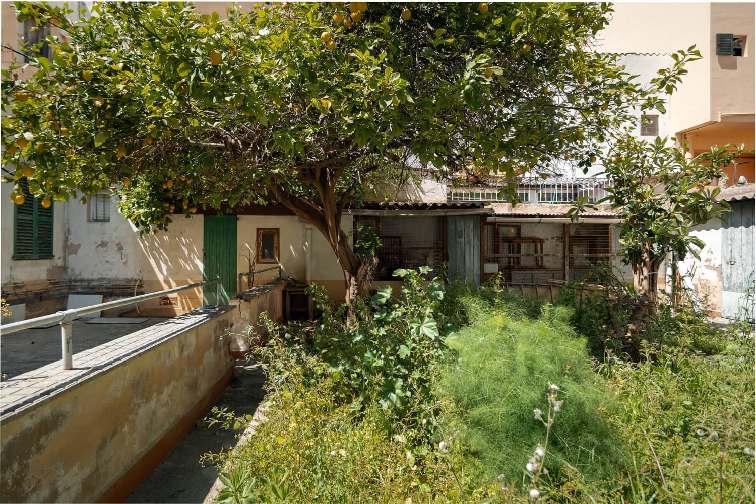 Hus til salgs i Palma de Mallorca - € 890 000 (Ref: 9909480)